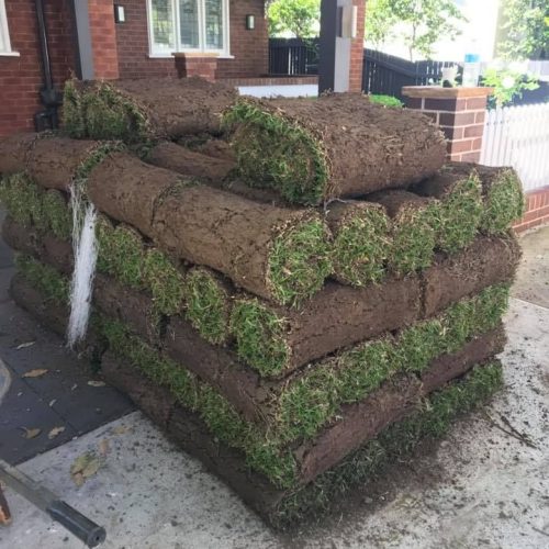 عشب طبيعي (25)